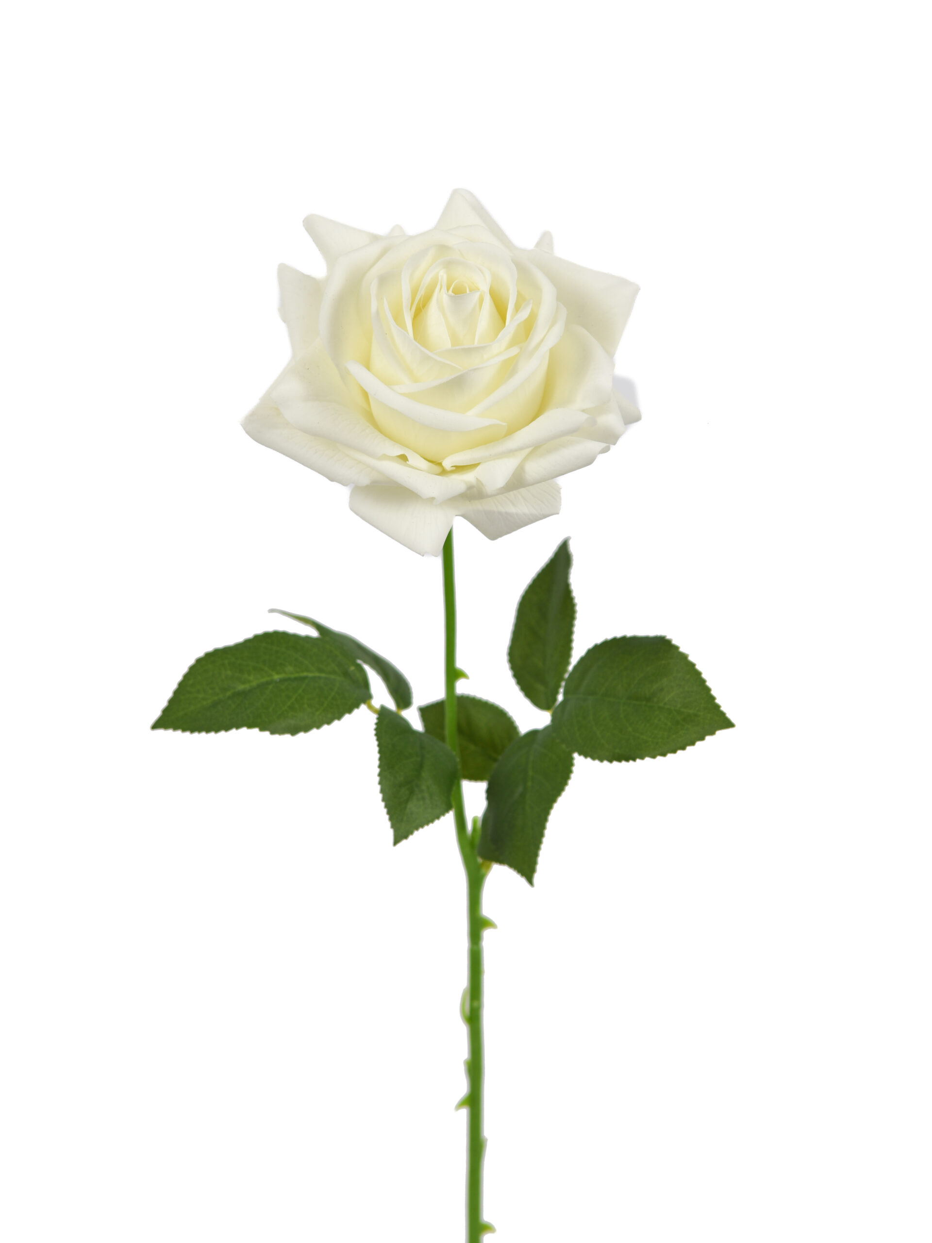 Kunstbloem Speciale Roos Wit Real Touch 66 cm