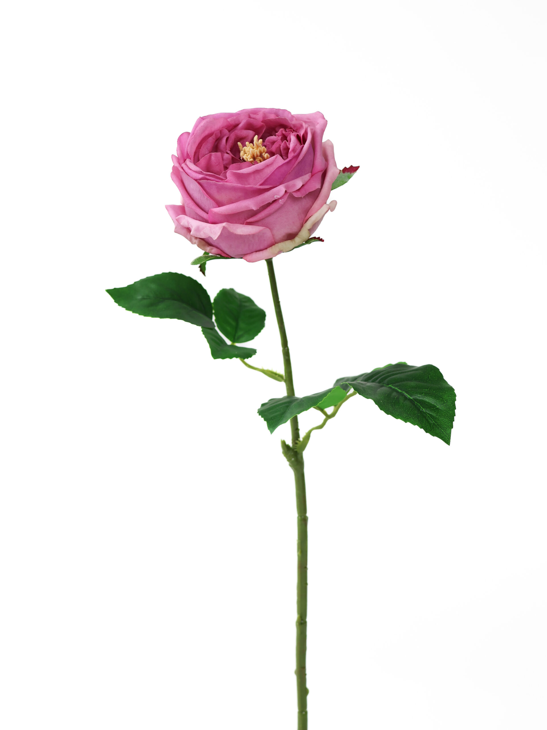 Kunstbloem Austin Roos Donkeroze Real Touch 45 cm