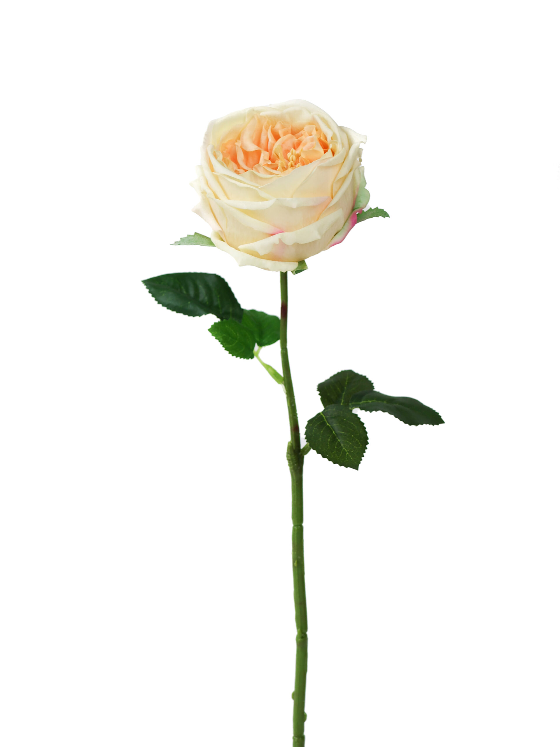 Kunstbloem Austin Roos Geel Real Touch 45 cm
