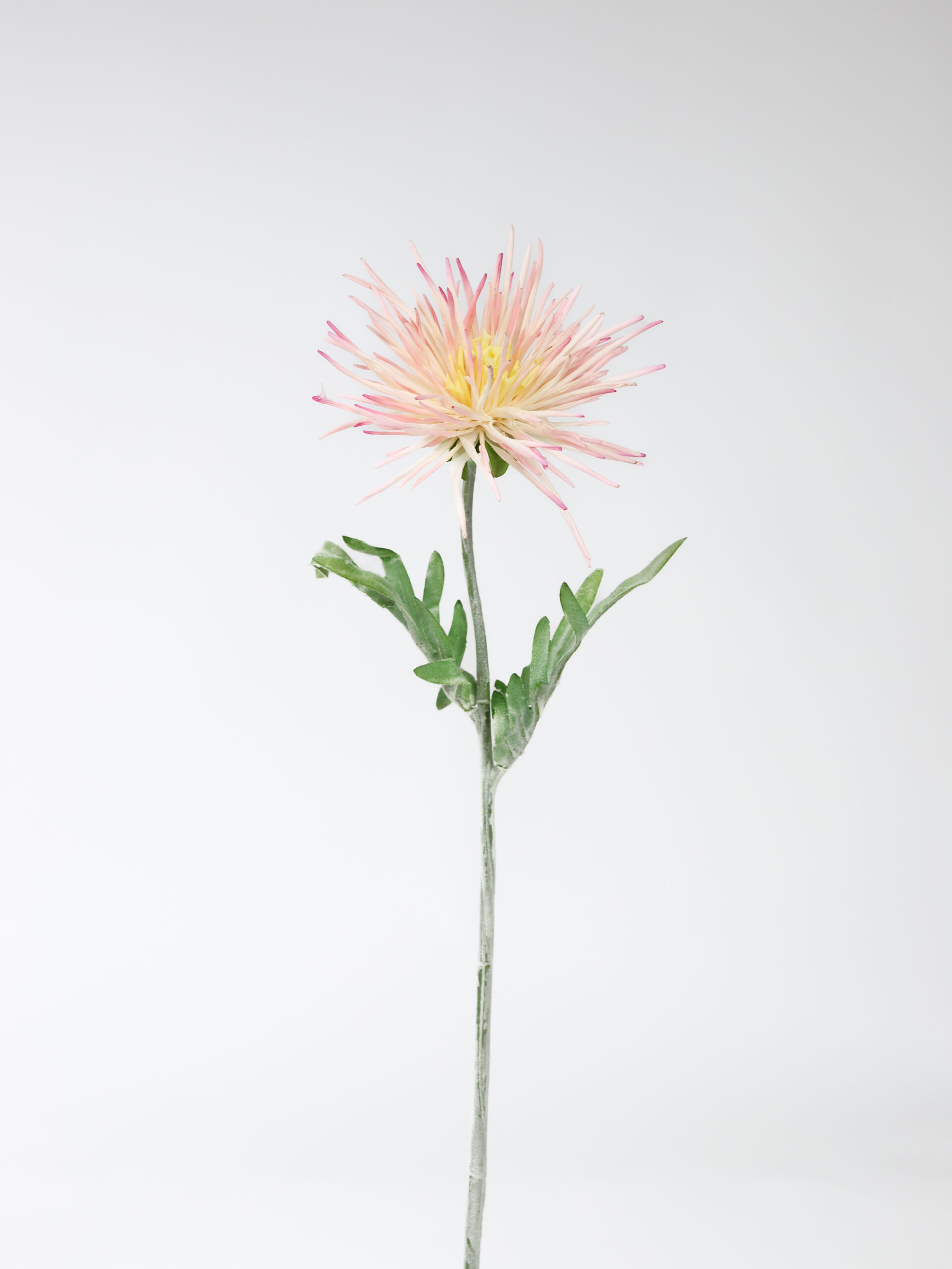 Kunstbloem Chrysant Roze/Geel Real Touch 49 cm