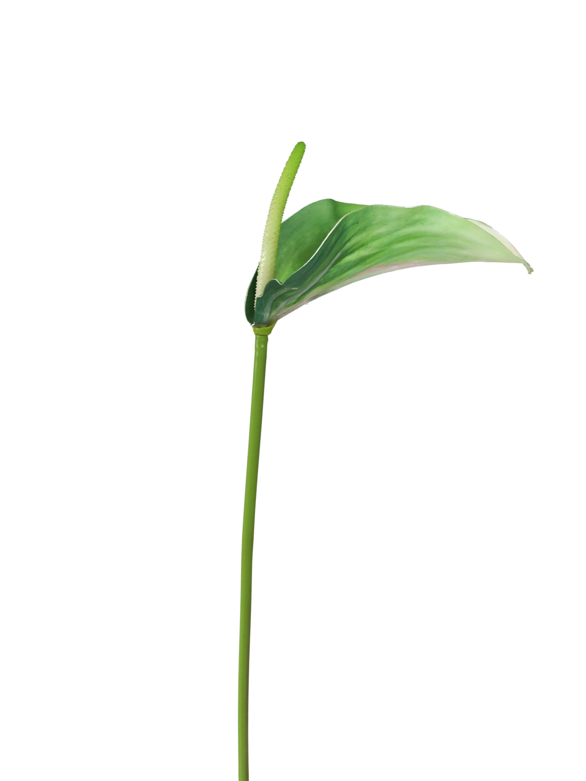Kunstbloem Anthurium Groen Real Touch 72 cm