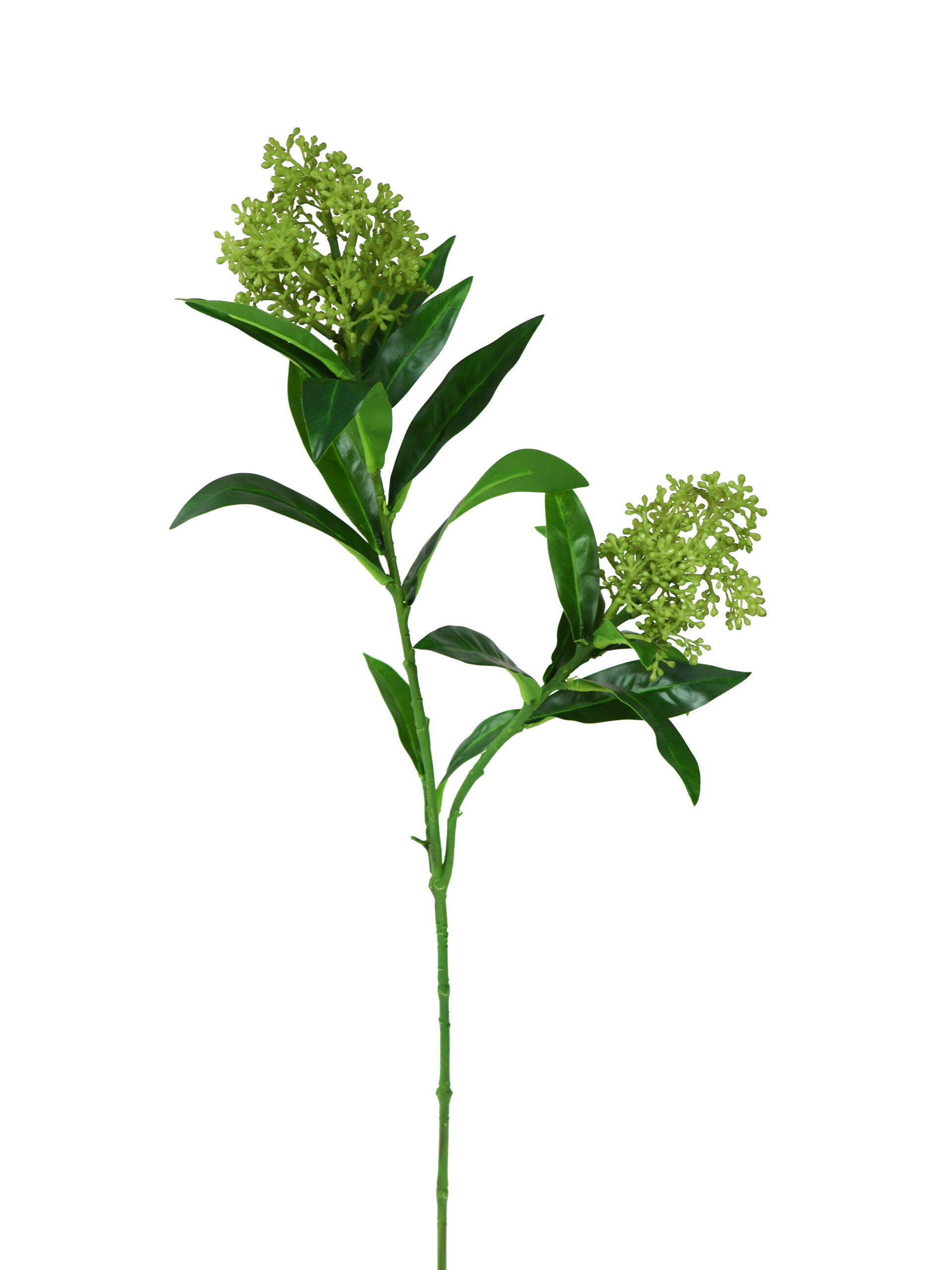 Kunstbloem Skimmia Groen Real Touch 73 cm