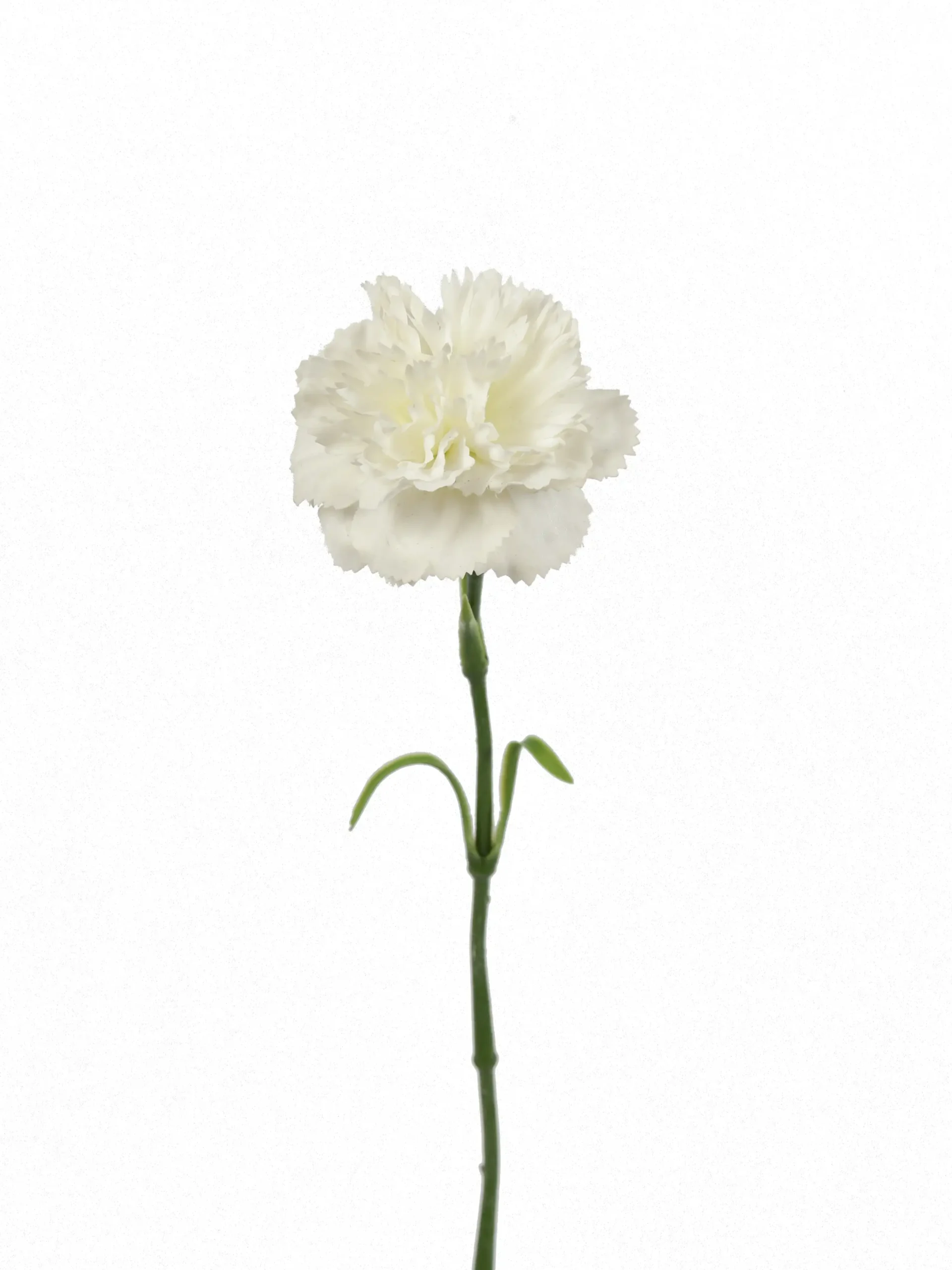 Kunstbloem Anjer Wit Real Touch 50 cm