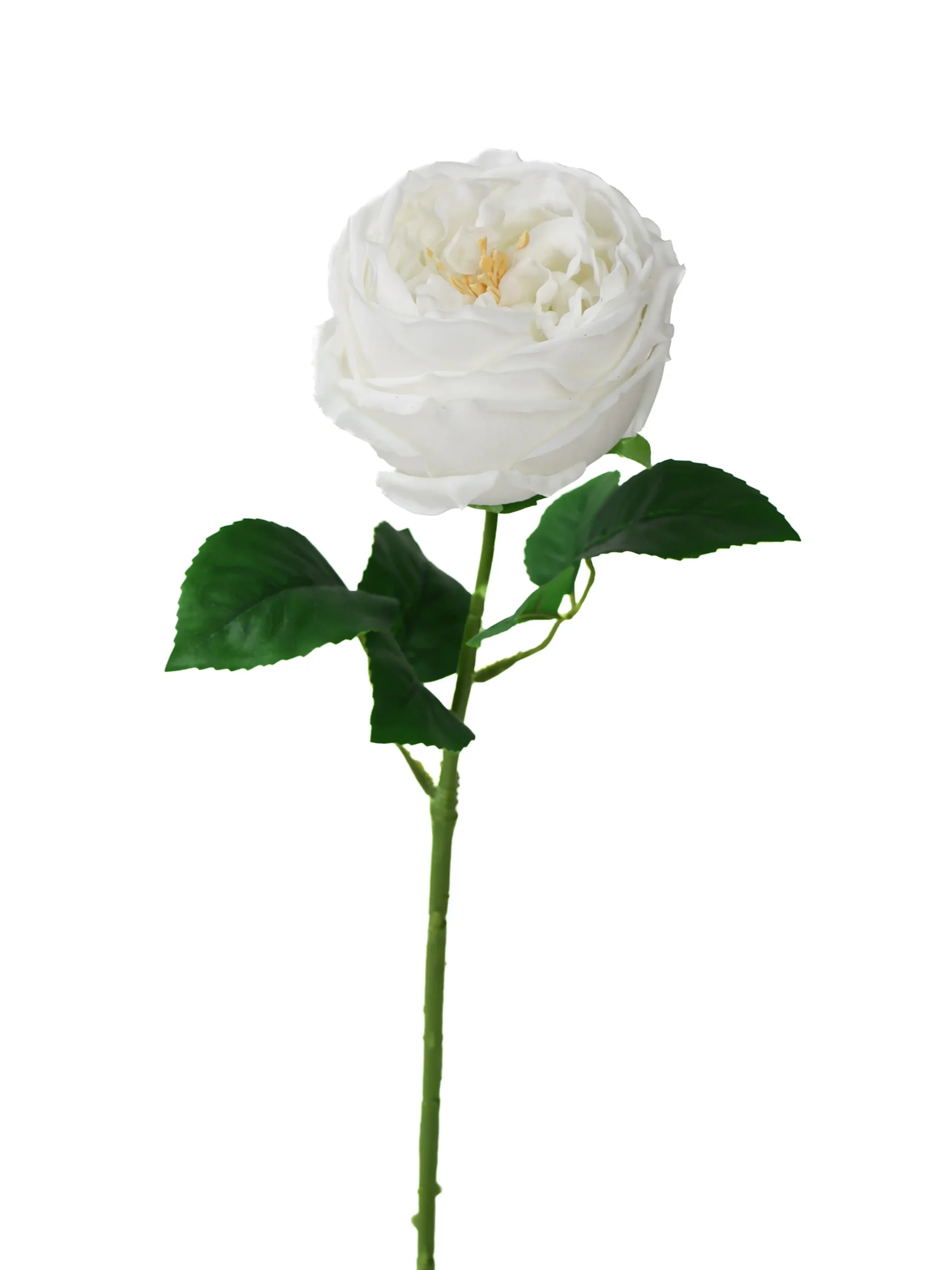 Kunstbloem Austin Roos Wit Real Touch 45 cm