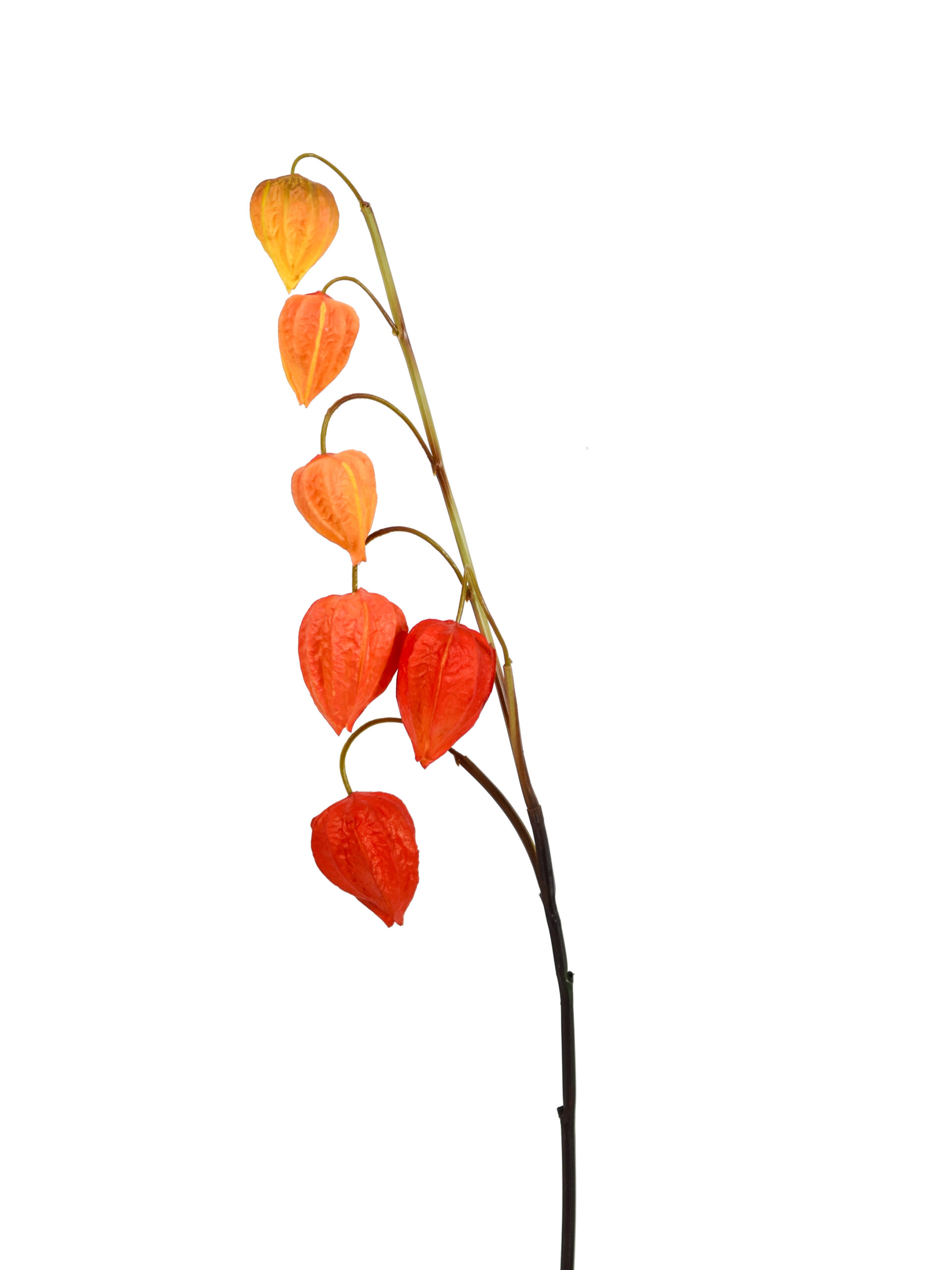 Kunstbloem Lampion Oranje Real Touch 70 cm