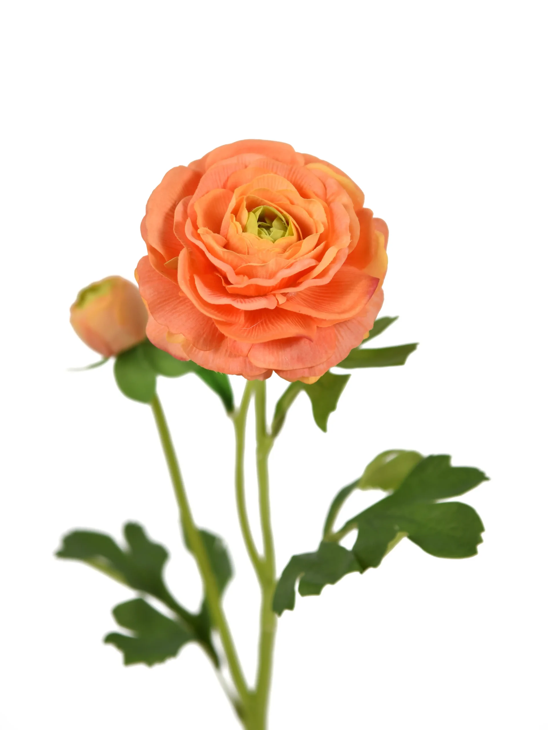 Kunstbloem Ranonkel Oranje Real Touch 54 cm 1