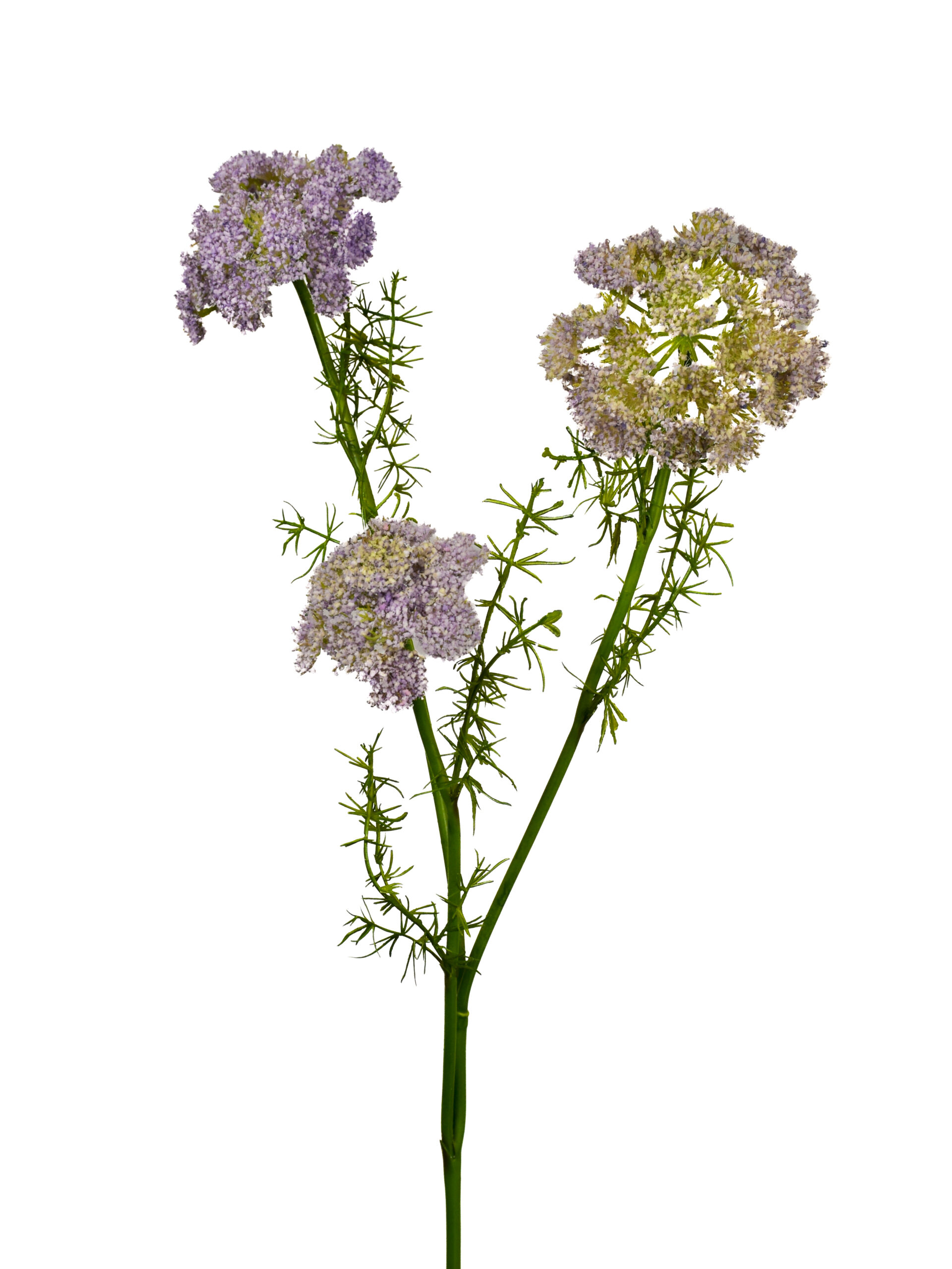 Kunstbloem Lace Paars Real Touch 75 cm