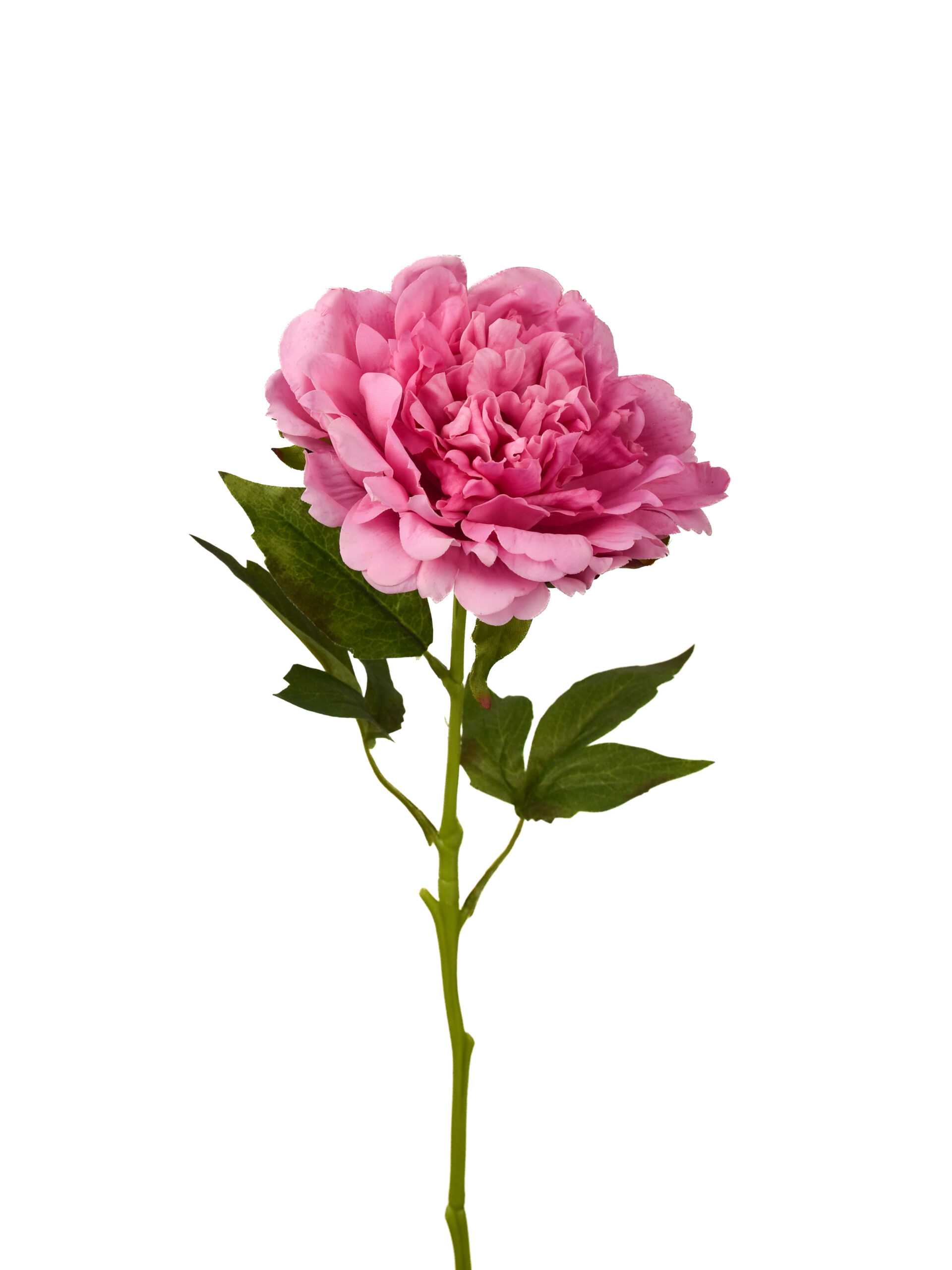 Kunstbloem Pioenroos Roze Real Touch 60 cm