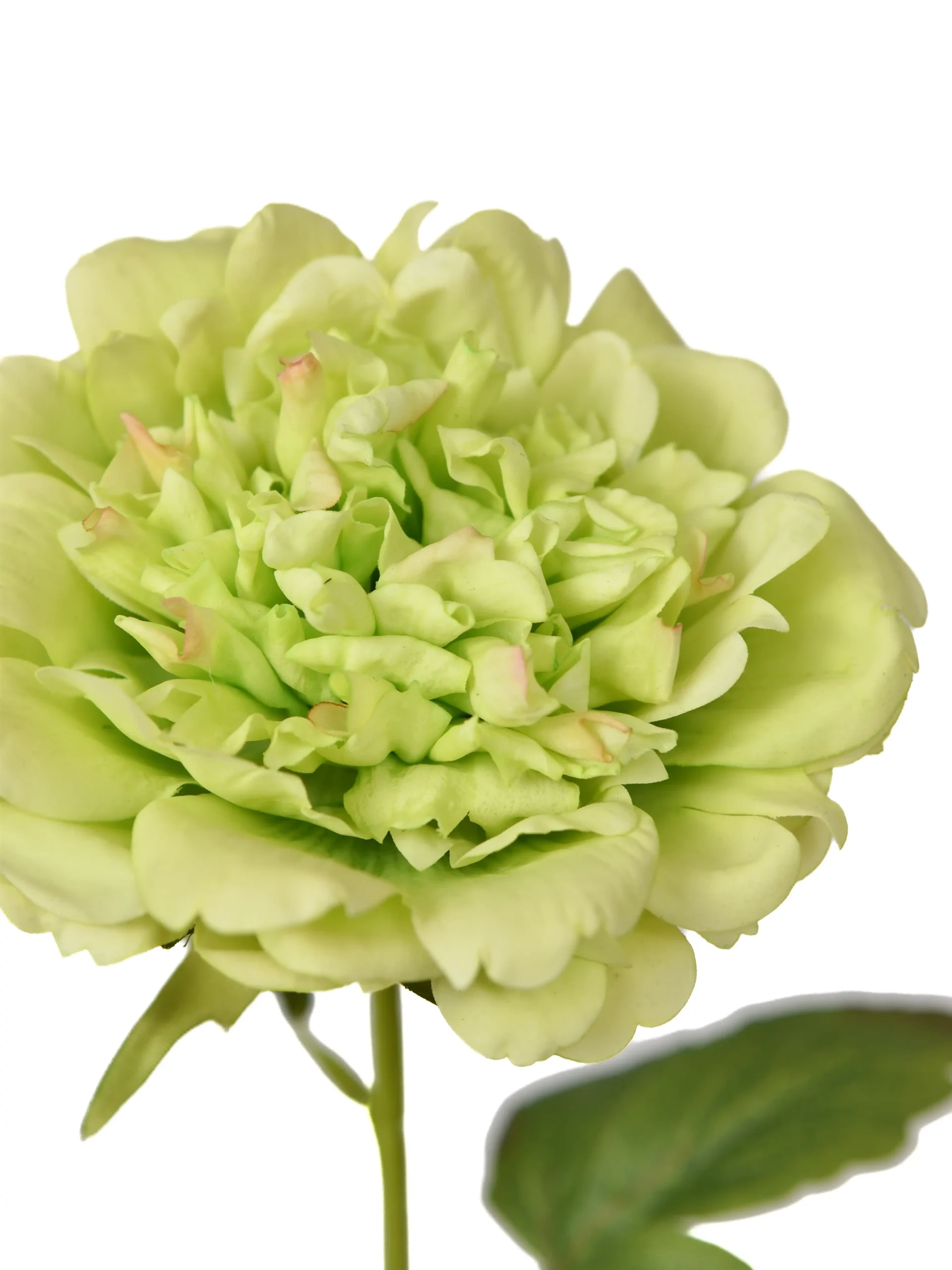 Kunstbloem Pioenroos Groen Real Touch 60 cm 1